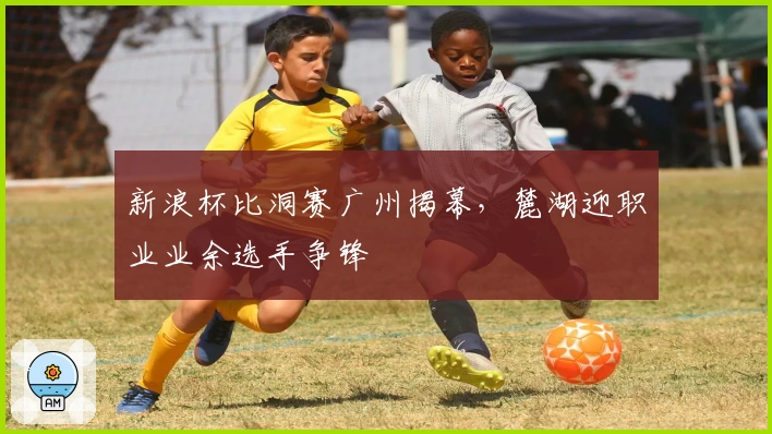 新浪杯比洞赛广州揭幕，麓湖迎职业业余选手争锋